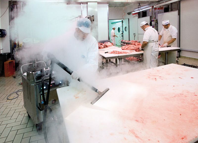Dry steam disinfecting for food processing sanitation