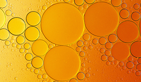 Viscous Liquids
