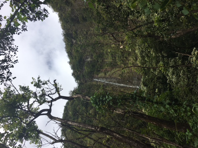 Waimoku Falls Maui