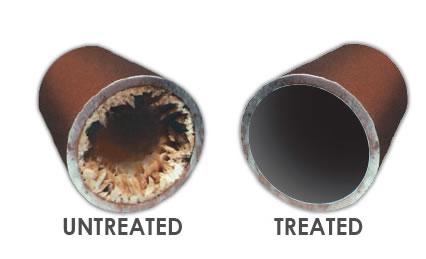 Treated vs Untreated Water Pipes